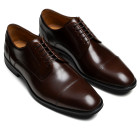 Sapato Masculino Derby Barto Café